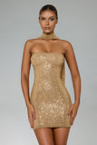 Lieve Strapless Sleeveless Sequin Mini Dress