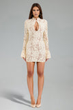 Morwenna Long Sleeves Hollow Lace Mini Dress