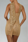 Lieve Strapless Sleeveless Sequin Mini Dress