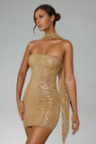 Lieve Strapless Sleeveless Sequin Mini Dress