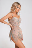 Dalida Tassel Sequin Mini Dress