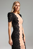 Garina Lace Fitted Dress