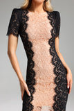 Garina Lace Fitted Dress