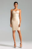 Kolia Metallic Metal Dress