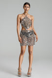 Tersa Sequins Metallic Set