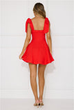 Beach Picnic Mini Dress Red