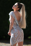 Sparkle See Through Sheer Sequin Dress - Silver