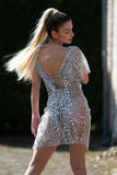 Sparkle See Through Sheer Sequin Dress - Silver