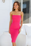 Prior Engagements Dress Hot Pink