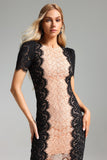 Garina Lace Fitted Dress