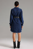 Hollie Denim Shirt Dress