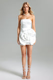 Kiwisy Flower Pleated Mini Dress