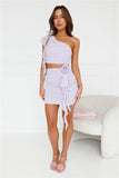 Dancing In The City Mesh Mini Skirt Lilac