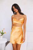 Wined Out Satin Dress Golden