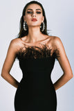 Richilde Black Strapless Feather Mini Dress