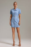 Zandy Denim Dress