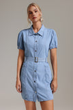 Zandy Denim Dress