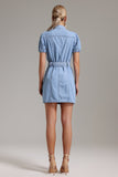 Zandy Denim Dress