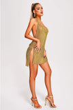 Colin Metallic Mesh Mini Dress