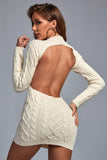 Iuana Backless Mini Knit Dress