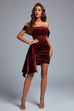 Elasa Velvet Corset Mini Dress