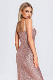 Lindsay Halter Sequin Midi Dress