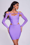 Deb Mesh Mini Bandage Dress