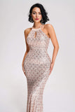 Ziska Sequin Maxi Dress