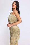 Xiara One Shoulder Tassel Dress