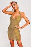 Colin Metallic Mesh Mini Dress