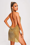 Colin Metallic Mesh Mini Dress