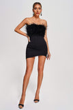 Winey Strapless Feather Mini Dress - Black